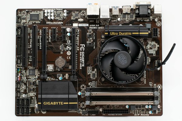 Comprendre le cdp : Évaluer l'impact environnemental des entreprises